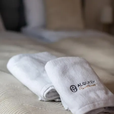 Granaria Old Town By Alqueen شقة غدانسك